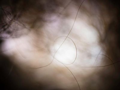 Was-am-Ende-uebrig-bleibt